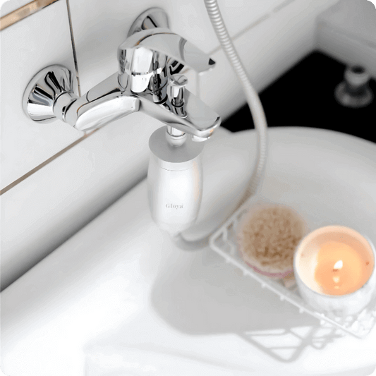 FILTRE DE DOUCHE GLOYA